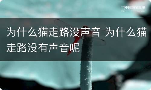 为什么猫走路没声音 为什么猫走路没有声音呢