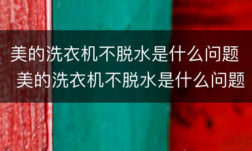 美的洗衣机不脱水是什么问题 美的洗衣机不脱水是什么问题显示E2