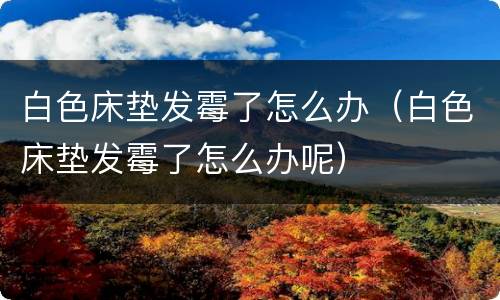 白色床垫发霉了怎么办（白色床垫发霉了怎么办呢）
