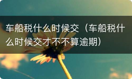车船税什么时候交（车船税什么时候交才不不算逾期）