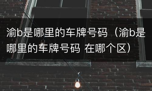 渝b是哪里的车牌号码（渝b是哪里的车牌号码 在哪个区）