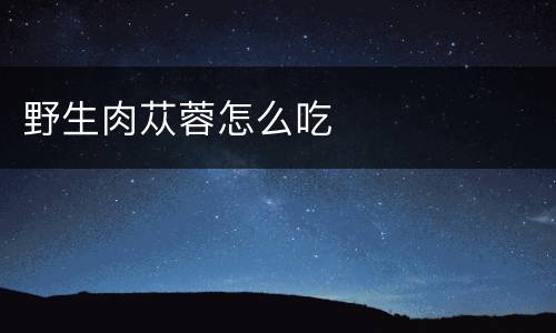野生肉苁蓉怎么吃