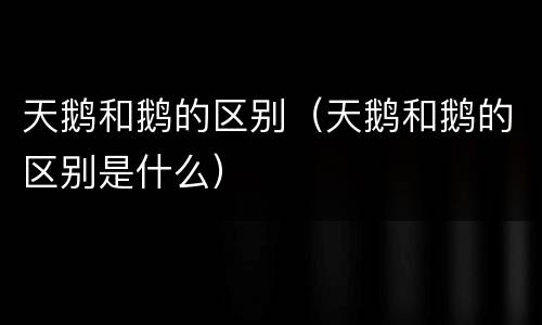 天鹅和鹅的区别（天鹅和鹅的区别是什么）