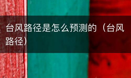 台风路径是怎么预测的（台风路径）