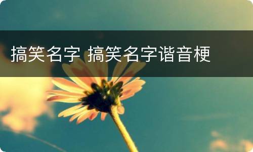 搞笑名字 搞笑名字谐音梗