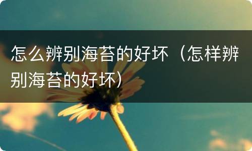 怎么辨别海苔的好坏（怎样辨别海苔的好坏）