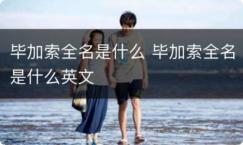 毕加索全名是什么 毕加索全名是什么英文