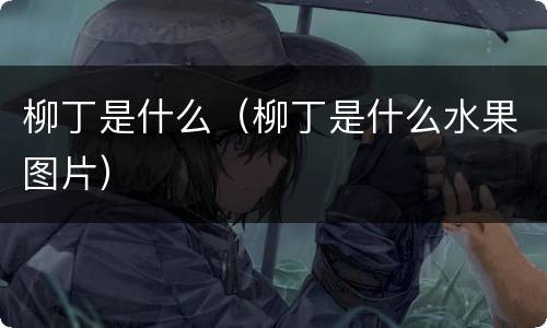 柳丁是什么（柳丁是什么水果图片）
