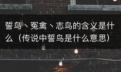 誓鸟丶冤禽丶志鸟的含义是什么（传说中誓鸟是什么意思）