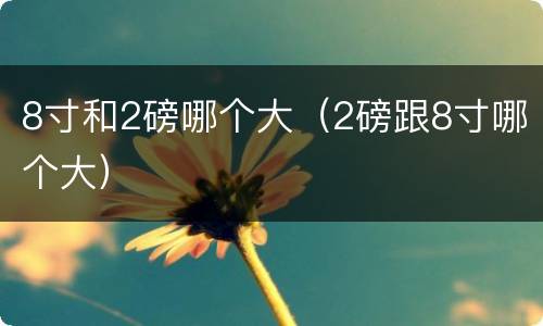 8寸和2磅哪个大（2磅跟8寸哪个大）