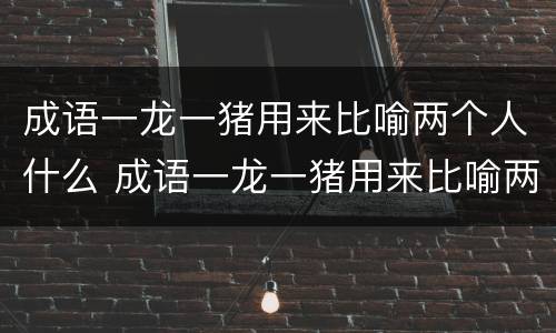 成语一龙一猪用来比喻两个人什么 成语一龙一猪用来比喻两个人什么意思