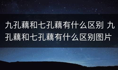 九孔藕和七孔藕有什么区别 九孔藕和七孔藕有什么区别图片