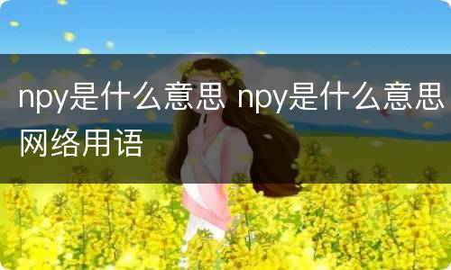npy是什么意思 npy是什么意思网络用语