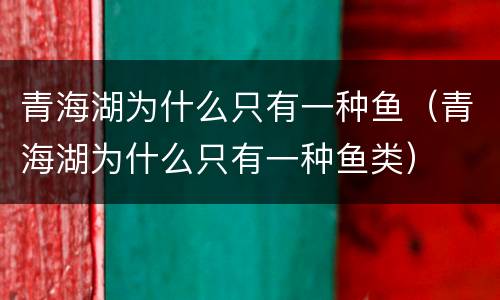 青海湖为什么只有一种鱼（青海湖为什么只有一种鱼类）