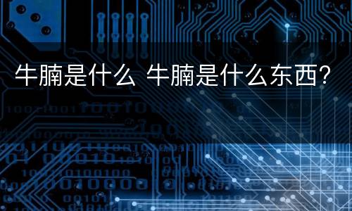 牛腩是什么 牛腩是什么东西?