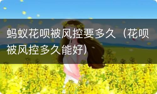 蚂蚁花呗被风控要多久（花呗被风控多久能好）