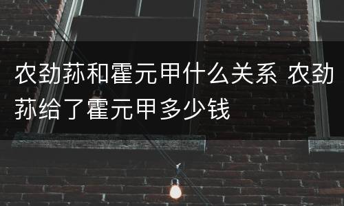 农劲荪和霍元甲什么关系 农劲荪给了霍元甲多少钱