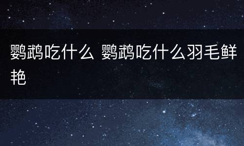 鹦鹉吃什么 鹦鹉吃什么羽毛鲜艳