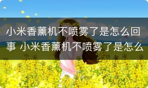 小米香薰机不喷雾了是怎么回事 小米香薰机不喷雾了是怎么回事儿