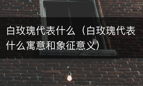 白玫瑰代表什么（白玫瑰代表什么寓意和象征意义）