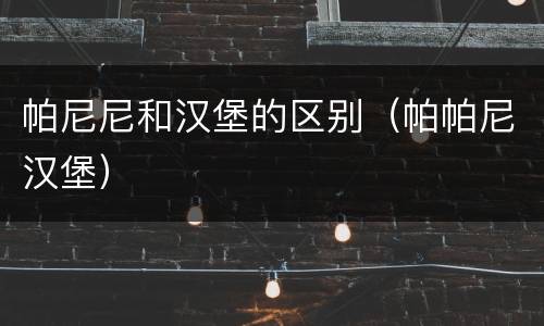 帕尼尼和汉堡的区别（帕帕尼汉堡）
