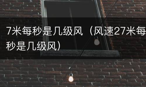 7米每秒是几级风（风速27米每秒是几级风）
