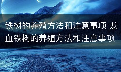 铁树的养殖方法和注意事项 龙血铁树的养殖方法和注意事项