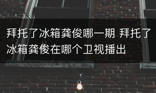 拜托了冰箱龚俊哪一期 拜托了冰箱龚俊在哪个卫视播出