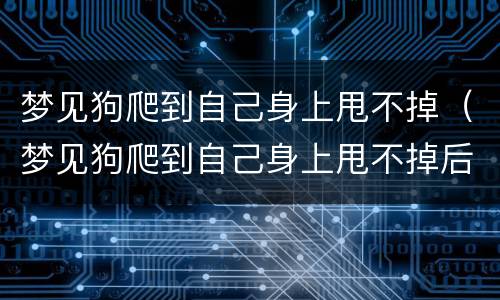 梦见狗爬到自己身上甩不掉（梦见狗爬到自己身上甩不掉后却出现一个小女孩）
