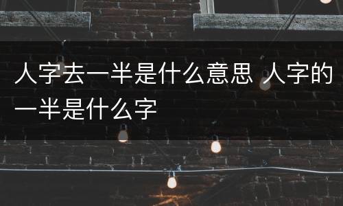 人字去一半是什么意思 人字的一半是什么字