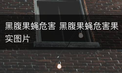 黑腹果蝇危害 黑腹果蝇危害果实图片