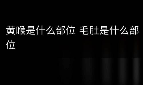 黄喉是什么部位 毛肚是什么部位
