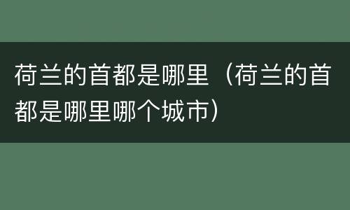 荷兰的首都是哪里（荷兰的首都是哪里哪个城市）