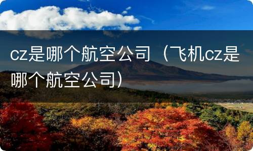 cz是哪个航空公司（飞机cz是哪个航空公司）
