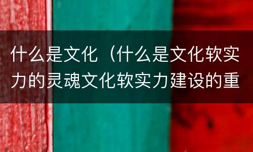 什么是文化（什么是文化软实力的灵魂文化软实力建设的重点）