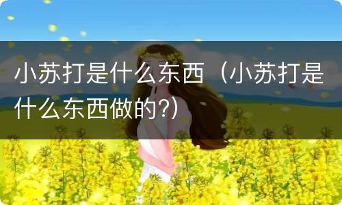 小苏打是什么东西（小苏打是什么东西做的?）