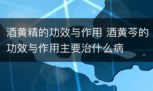 酒黄精的功效与作用 酒黄芩的功效与作用主要治什么病
