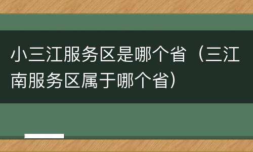 小三江服务区是哪个省（三江南服务区属于哪个省）