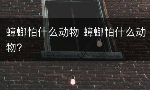 蟑螂怕什么动物 蟑螂怕什么动物?
