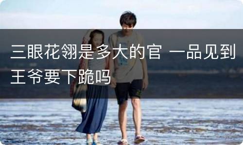 三眼花翎是多大的官 一品见到王爷要下跪吗