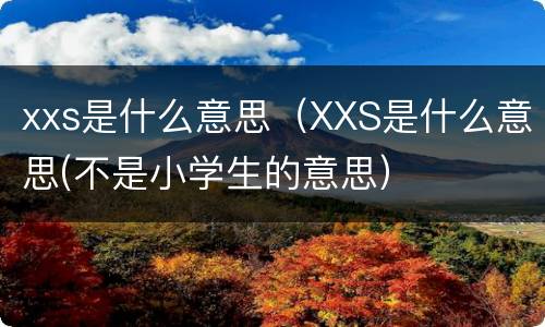 xxs是什么意思（XXS是什么意思(不是小学生的意思）