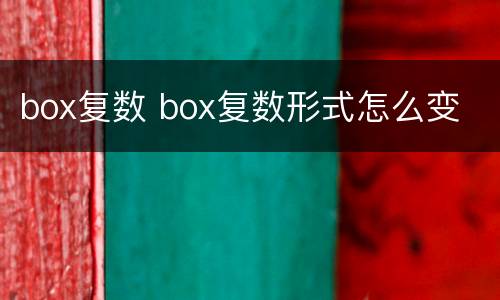 box复数 box复数形式怎么变