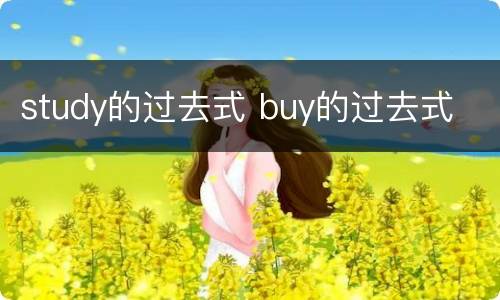 study的过去式 buy的过去式