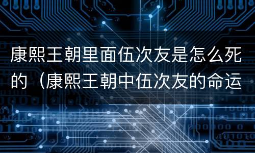 康熙王朝里面伍次友是怎么死的（康熙王朝中伍次友的命运?）