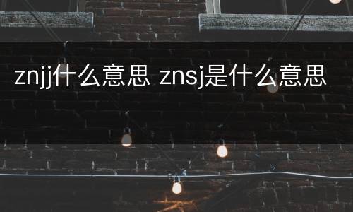 znjj什么意思 znsj是什么意思
