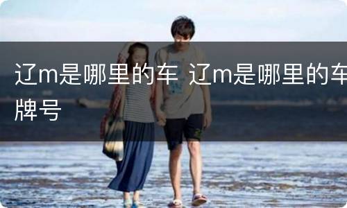 辽m是哪里的车 辽m是哪里的车牌号