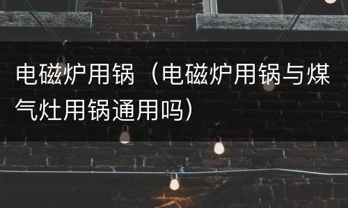 电磁炉用锅（电磁炉用锅与煤气灶用锅通用吗）