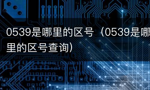 0539是哪里的区号（0539是哪里的区号查询）