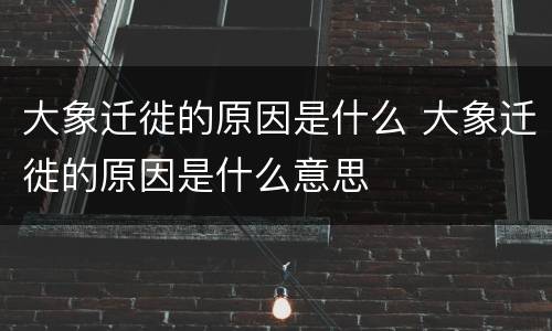 大象迁徙的原因是什么 大象迁徙的原因是什么意思