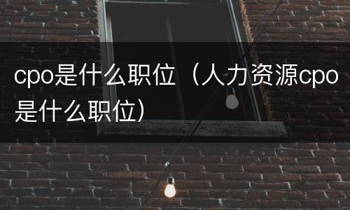 cpo是什么职位（人力资源cpo是什么职位）